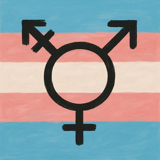 TRANS GRUPO FREE